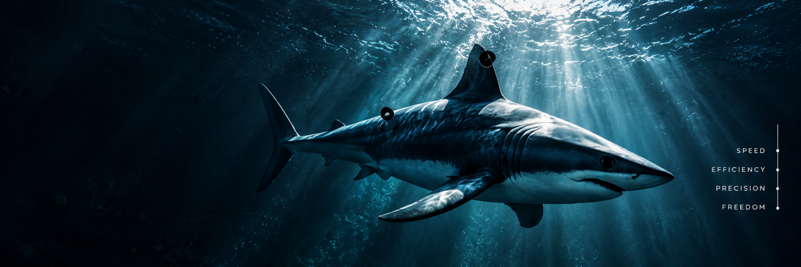 Tiburón mako bajo la luz del océano